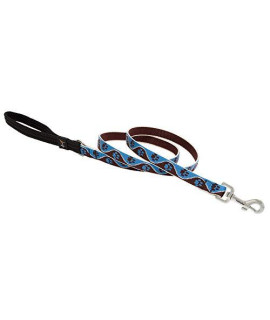LupinePet Originals 34 Muddy Paws 4-Foot Padded Handle Leash for Medium and Larger Dogs