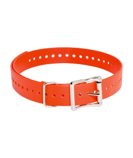 SportDOG Brand 1 Inch Collar Strap, Orange