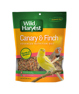 Wild Harvest B12492Q-001 Canary and Finch Food Blend, One Size, 2 Pound (Package May Vary)