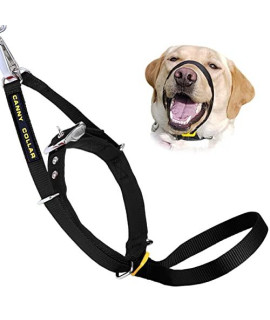 canny collar Dog Head collar, No Pull Leash Training Head Harness, Easy to Fit Halter that Stops Pulling, comfortable & calm control with Padded collar, Kind To Your Dog, Enjoy gentle Walks with Small, Medium or Large Dogs, Black, Blue, Purple & Red