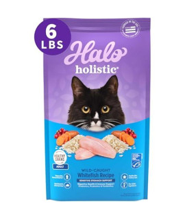 Halo Natural Dry Cat Food - Sensitive Stomach Recipe - Premium and Holistic Seafood Medley - 6 Pound Bag - Sustainably Sourced Adult Dry Cat Food - Real Whole Meat, Highly Digestible, Non-GMO