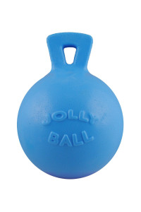 Jolly Pets Tug-n-Toss Heavy Duty Dog Toy Ball with Handle, 10 Inches/X-Large, Blueberry for All Breed Sizes