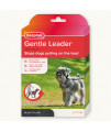 Beaphar gentle Leader Head collar for Small Dogs Stops Pulling On The Lead Training Aid with Immediate Effect Endorsed by Behaviourists Black x 1