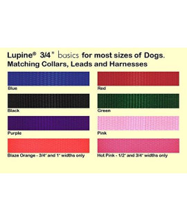 LupinePet Basics 34 Black 14-20 Martingale collar for Medium and Larger Dogs