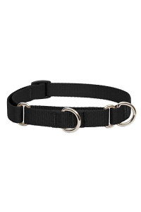 LupinePet Basics 34 Black 10-14 Martingale collar for Small Dogs