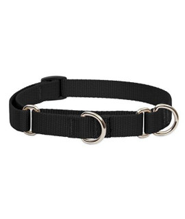 LupinePet Basics 34 Black 10-14 Martingale collar for Small Dogs