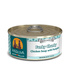 Weruva Classic Dog Food, Funky Chunky Chicken Soup with Chicken Breast & Pumpkin in Gravy, 5.5oz Can (Pack of 24), Blue