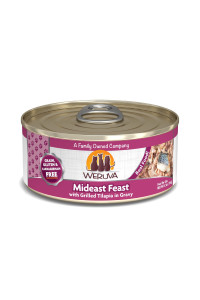 Weruva Classic Cat Food, Mideast Feast with Grilled Tilapia in Gravy, 5.5oz Can (Pack of 24)
