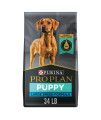 Pro Plan Large Breed Dry Puppy Food, Chicken and Rice Formula - 34 lb. Bag