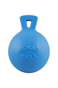 Jolly Pets Tug-n-Toss Heavy Duty Dog Toy Ball with Handle, 8 Inches/Large, Blueberry