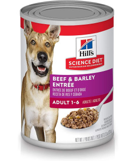 Hill's Science Diet Wet Dog Food, Adult 1-6, Beef & Barley Entre, 13 Ounce (Pack of 12)