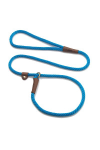 Mendota Pet Slip Leash - Dog Lead and Collar Combo - Made in The USA - Blue, 3/8 in x 6 ft - for Small/Medium Breeds