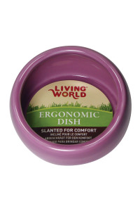 Living World Ergonomic Food Dish, for Small Animals, Pink, Large, 14.78 oz, 61685