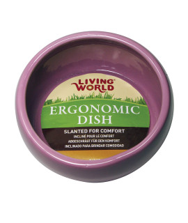 Living World Ergonomic Food Dish, for Small Animals, Pink, Small, 4.22oz, 61684A1