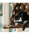 Armarkat Real Wood Cat Tree Hammock Bed With Natural Sisal Post for Cats and Kittens, A6601