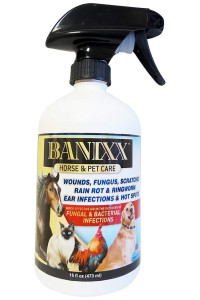 Banixx Horse and Pet Care 16 oz