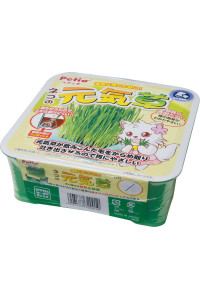 Petio Grass for Cats 125g (Japan Import)