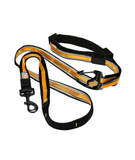 Kurgo 6 in 1 Hands Free Dog Leash, Reflective Running Belt Leash for Dogs, Crossbody & Waist Belt Leash, Carabiner Clip, Padded Handle for Training, Hiking or Jogging, Quantum Leash