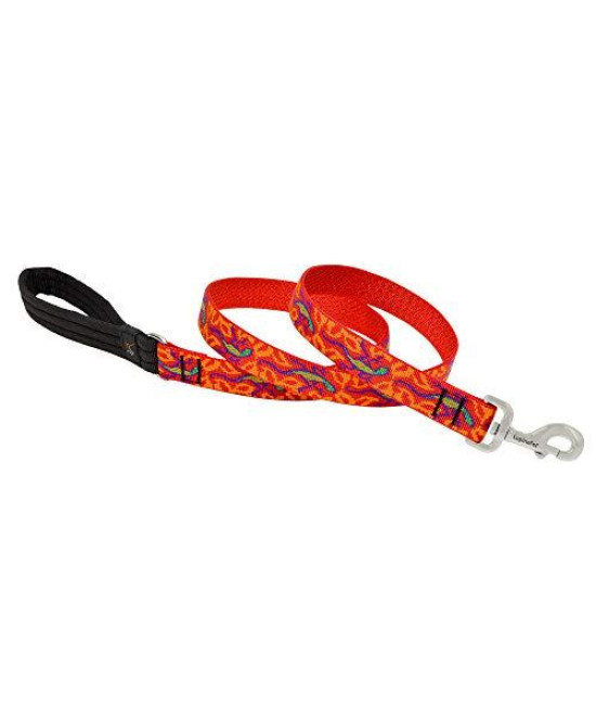 LupinePet Originals 1 go go gecko 4-Foot Padded Handle Leash for Medium and Larger Dogs