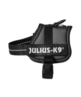 162BS-2 Julius K9 Speaking Dog Harness Powerharness for Labels, Size: 2 color: Blue Sky - chest: 2756-3543inch (70-90cm) - Weight: 6173-8818lbs (28-40kg) - K-9