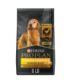 Purina Pro Plan Senior Dog Food With Probiotics for Dogs, Shredded Blend Chicken & Rice Formula - 6 lb. Bag