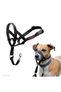 HALTI Head-collar Size 0 Black, Bestselling Dog Head Harness to Stop Pulling on the Lead, Easy to Use, Padded Nose Band, Adjustable & Reflective, Professional Anti-Pull Training Aid for Small Dogs