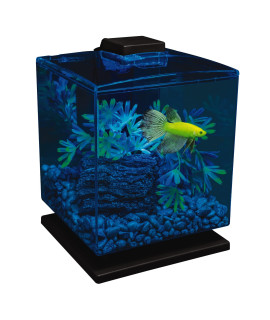 GloFish Betta Aquarium Kit 1.5 Gallons, Easy Setup and Maintenance, Perfect Starter Tank,Black/Clear