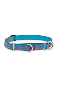 LupinePet Originals 34 Wet Paint 14-20 Martingale collar for Medium and Larger Dogs