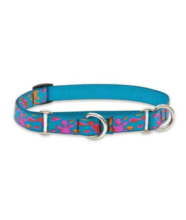 LupinePet Originals 34 Wet Paint 14-20 Martingale collar for Medium and Larger Dogs