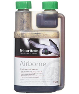 Hilton Herbs 27042 Airborne Bird Food Formula, 05 Pint