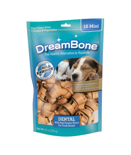 DreamBone Dental Dog Chews, Rawhide Free Dental Treats for Dogs, Helps Reduce Tartar and Freshens Breath, 16 Count