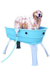 Booster Bath Elevated Pet Bathing, Teal, Large (Pack of 1)