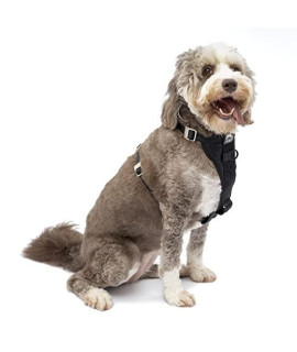 Kurgo Dog Harness Car Harness for Dogs Extra Large Black Pet Safety Seat Belt Certified Crash Tested Harness Car Seatbelt Tru-Fit Enhanced Strength Style
