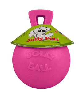 Jolly Pets Tug-n-Toss Heavy Duty Dog Toy Ball with Handle, 4.5 Inches/Small, Pink
