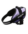 JULIUS-K9, 16IDc-PR-0, IDc Powerharness, dog harness, Size: 0, Purple
