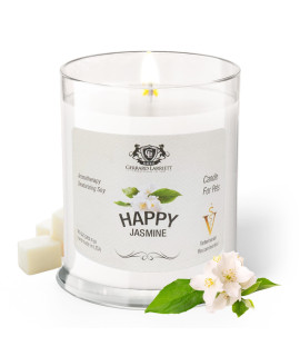 Gerrard Larriett - Deodorizing Soy Candles for Pets, Scented Candles for Removing Pet/Household Odors, Lasts up to 40 Hours, White Candles for Home Scented with Happy Jasmine Fragrance, 10 oz