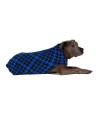 Gold Paw Stretch Fleece Dog Coat - Soft, Warm Dog Clothes, Stretchy Pet Sweater - Machine Washable, Eco Friendly - All Season - Sizes 2-33, Blue Plaid, Size 8