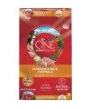 Purina ONE Chicken and Rice Formula Dry Dog Food - 31.1 lb. Bag