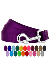 Country Brook Petz - 1 Inch Solid Color Nylon Dog Leash - Durable Clip - Soft Handle (1 Inch Wide, 6 Foot, Purple)