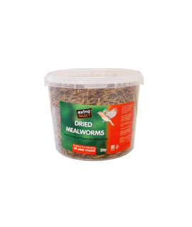 Extra Select Mealworms 3 L Tub