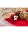 Prevue Pet Products Grass Tunnel - 1098