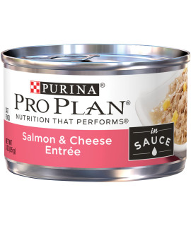Purina Pro Plan High Protein Wet Cat Food in Gravy, Salmon and Cheese Entree in Sauce - (24) 3 oz. Pull-Top Cans