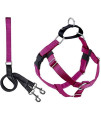 2 Hounds Design Freedom No Pull Dog Harness Comfortable Control for Easy Walking Adjustable Dog Harness and Leash Set Small, Medium & Large Dogs Made in USA Solid Colors 1 MD Raspberry