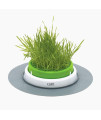 Catit Senses 2.0 Cat Grass Planter, Interactive Cat Toys