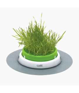 Catit Senses 2.0 Cat Grass Planter, Interactive Cat Toys