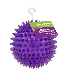 Gnawsome Medium Squeaker Ball Dog Toy, Medium 3.5, Colors will vary, All Breed Sizes