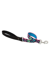 LupinePet Originals 1 Flower Power 2-Foot Traffic LeadLeash for Medium and Larger Dogs