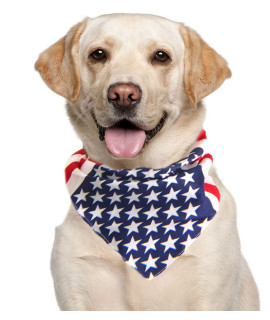 American Flag Dog Bandana 4th of July Dog Bandana 4th of July Dog Clothes Patriotic Dog Pet Bandanas