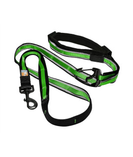 Kurgo 6 in 1 Hands Free Dog Leash, Reflective Running Belt Leash for Dogs, Crossbody & Waist Belt Leash, Carabiner clip, Padded Handle For Training, Hiking or Jogging, Quantum Leash, Grass Green