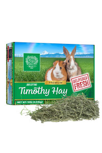 Small Pet Select 2nd cutting Perfect Blend Timothy Hay Pet Food for Rabbits, guinea Pigs, chinchillas and Other Small Animals, Premium Natural Hay grown in The US, 10 LB